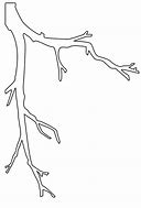 Image result for Coloring Page of Branch