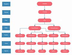 Image result for 100 Blank Chart Template