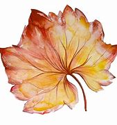 Image result for vine leaves watercolor