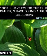 Image result for Quote About Truth in Literature