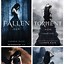 Image result for Fallen by Lauren Kate