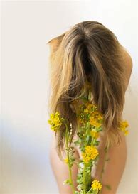 Image result for Solar Plexus Placement in Body