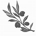 Image result for Olive Branch Clipart