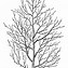 Image result for Snowy Tree Branches