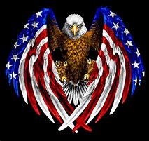 Image result for Bald Eagle American Flag Logo