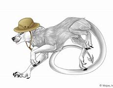 Image result for Safari Hat Little Boy