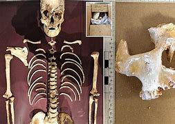 Image result for Oldest Human Bones