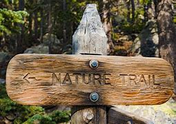 Image result for Nature Sign Language