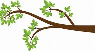 Image result for Tree Branch Logo