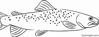 Image result for Trout Fish Coloring Pages