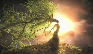 Image result for Mystical Willow Tree