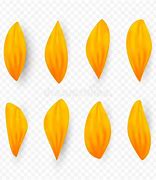 Image result for Sunflower Petal Clip Art