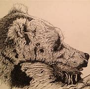 Image result for Pen Drawing Pinterest