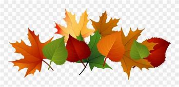 Image result for Leaf Pile Clip Art