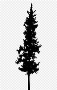 Image result for Tall Tree Silhouette