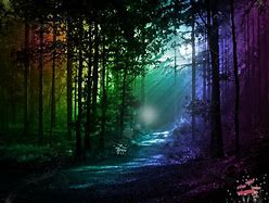 Image result for Enchanted Forest Mystical