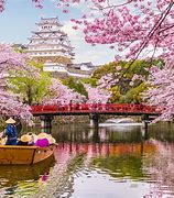 Image result for Japan When Is Cherry Blossom Season