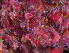 Image result for Single Rose Painting