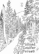 Image result for Kids Coloring Nature