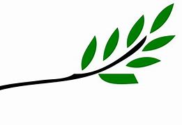 Image result for Tree Branch Logo