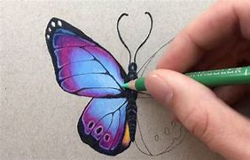 Image result for Pencil Drawings Partly Colored