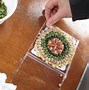 Image result for Seed Art Flower in a Base