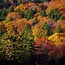 Image result for fall colors desktop background