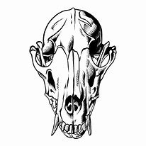 Image result for Wolf Skull Wallpaper