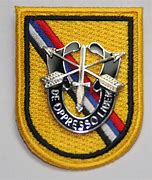 Image result for U.S. Army Special Forces