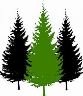 Image result for Pine Tree Outline Vector