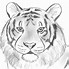 Image result for awesome pen drawing animals