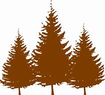 Image result for Tree Vector Illustration Free