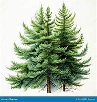 Image result for Three Pine Trees Clip Art