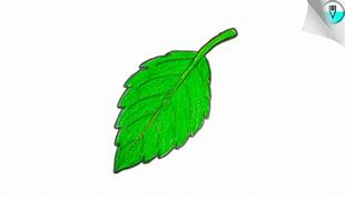 Image result for Leaf Drawing for Kids Coloring