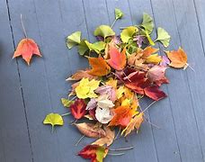 Image result for Fallen Leaf Art