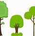 Image result for Tree Branch Cartoon Image