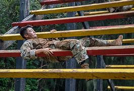 Image result for Air Assault Obstacle Course Layout