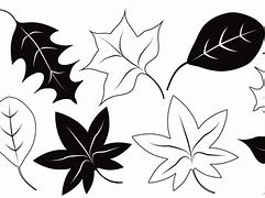 Image result for Autumn Leaf Black and White