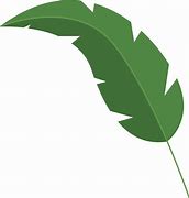 Image result for Ti Leaf Outline PNG