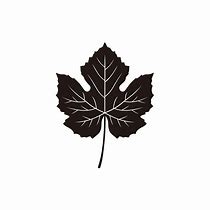 Image result for Maple Leaf Circle Border Silhouette