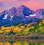 Image result for Aspen Grove Phone Wallpaper