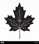 Image result for Maple Leaf Branch Silhouette