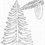 Image result for Pine Tree Coloring