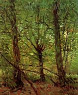 Image result for Van Gogh Trees