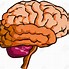 Image result for Creative Brain Clip Art