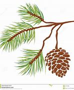 Image result for Pine Cone Stencil