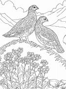 Image result for Alaska State Bird Coloring Page