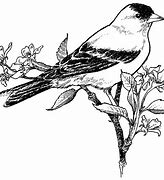 Image result for Bird On Branch Coloring Page