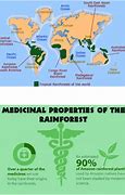 Image result for Amazon Tropical Rainforest Map