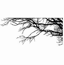 Image result for Large Tree with Branches